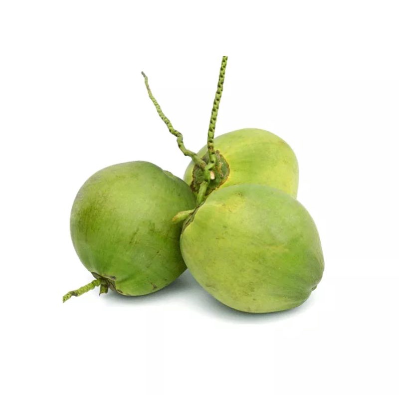 

kelapa muda 1 pcs