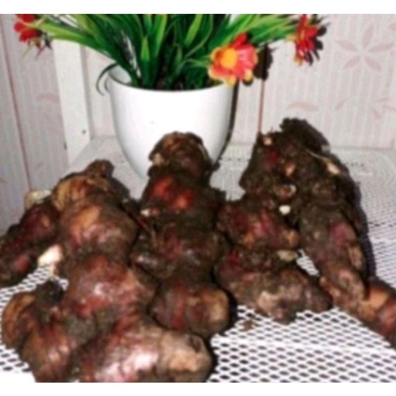 

JAHE MERAH 1KG