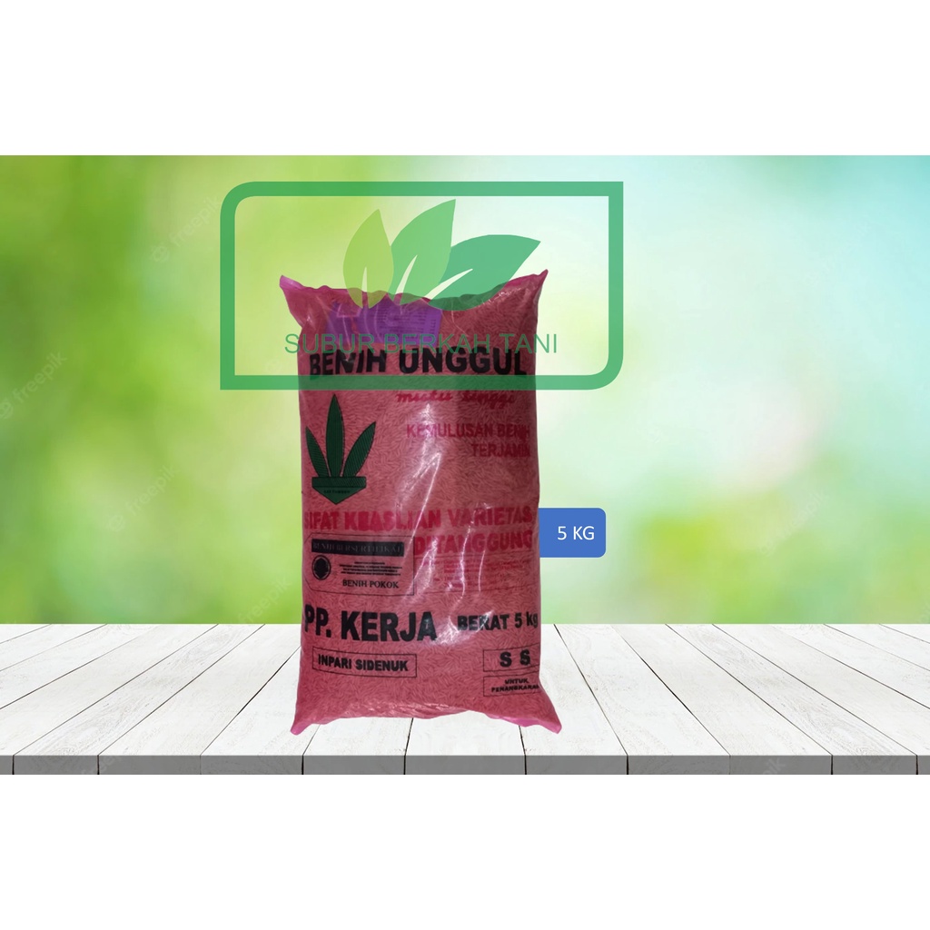 PADI SIDENUK, BENIH PADI SIDENUK , BIBIT PADI SIDENUK , PARI SIDENUK