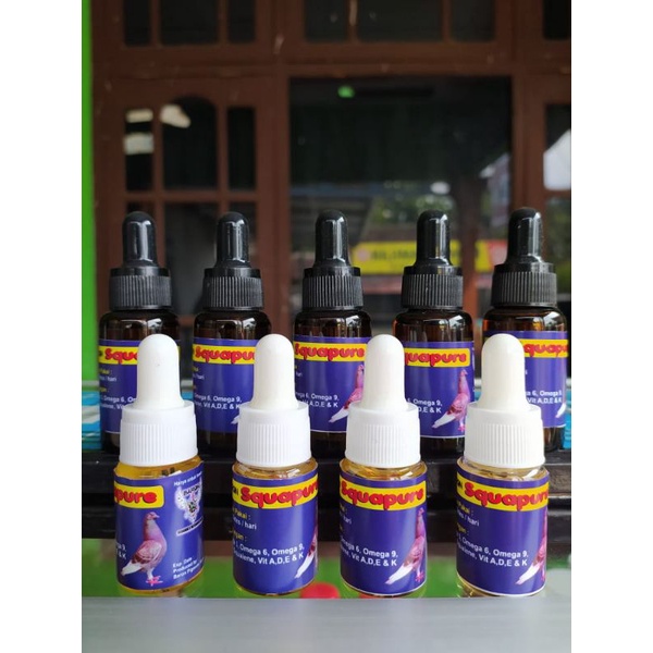 SQUAPURE,minyak ikan merpati, obat merpati, doping merpati