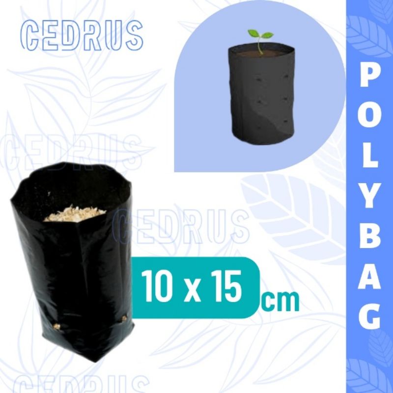 Polybag 10x15 (isi-7) untuk Semai Biji Benih Polibag Kecil