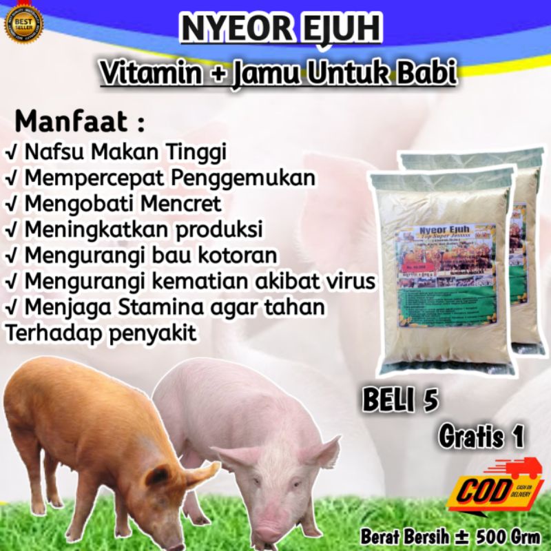 JAMU BABI NYEOR EJUH VITAMIN BABI MEMPERCEPAT BESAR VITAMIN BABI VITAMIN BABI CEPAT BESAR VITAMIN BA