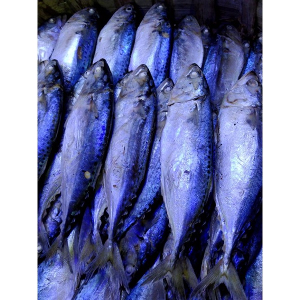 

Ikan Gombung Robus Medan 1kg Khusus Gosend Sameday &Instant