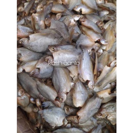

Premium.. Ikan asin sepat rawa bening-500gram 52