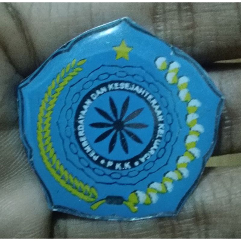 PIN PKK