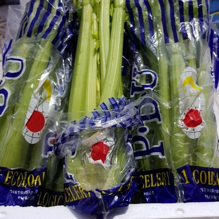 

✨Terbaru✨ Celery stick import/kg !!