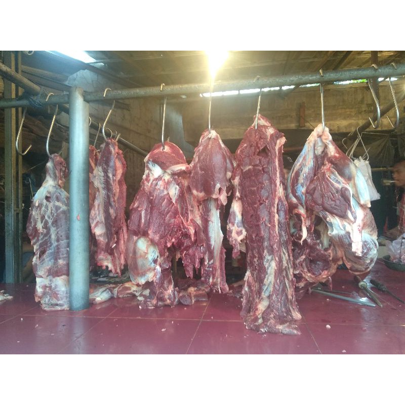 

Daging sapi segar ukuran 1kg/500gr/250gr Serang kota