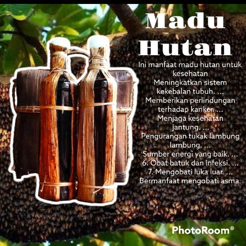 

madu Odeng hutan asli