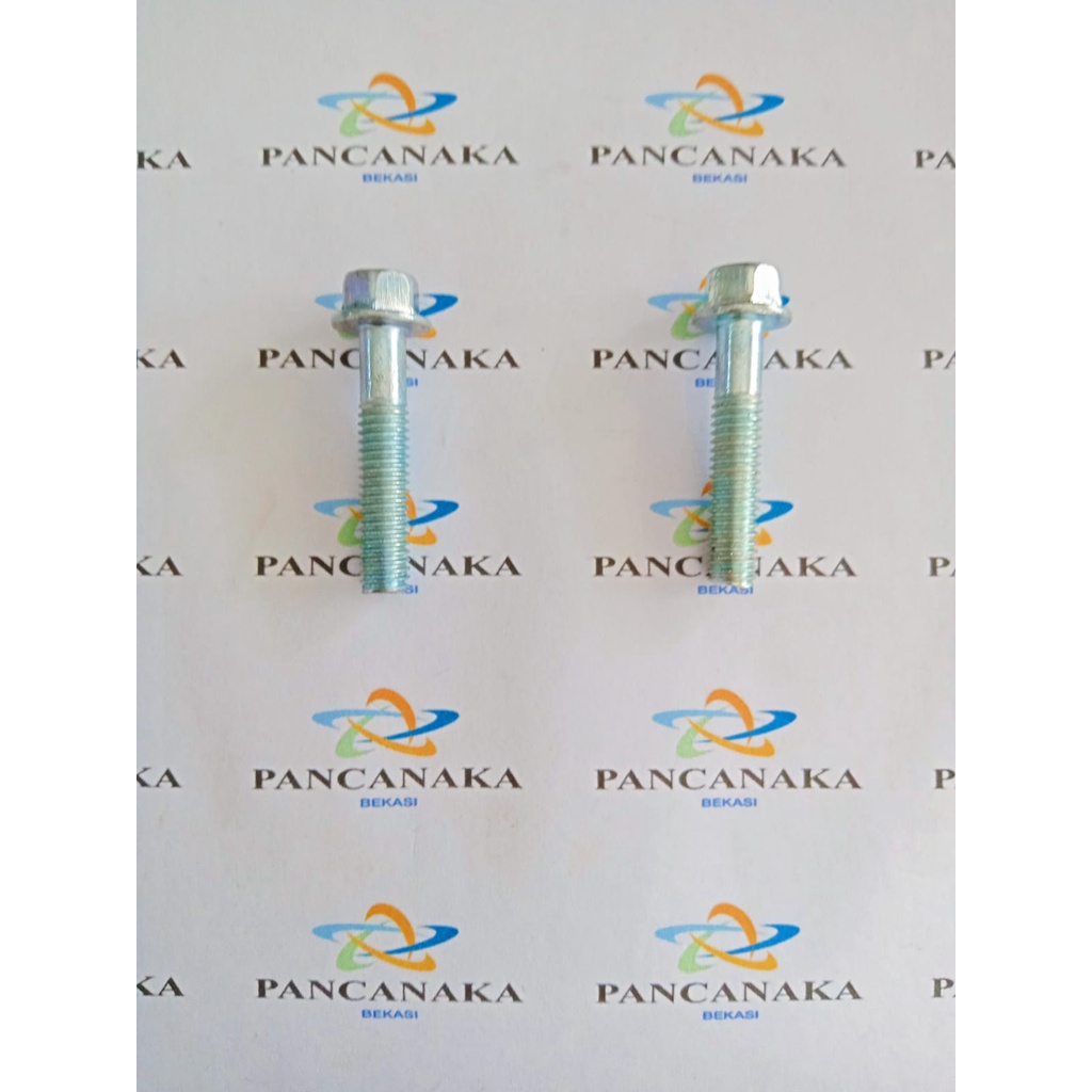 FLANG BOLT 6X30