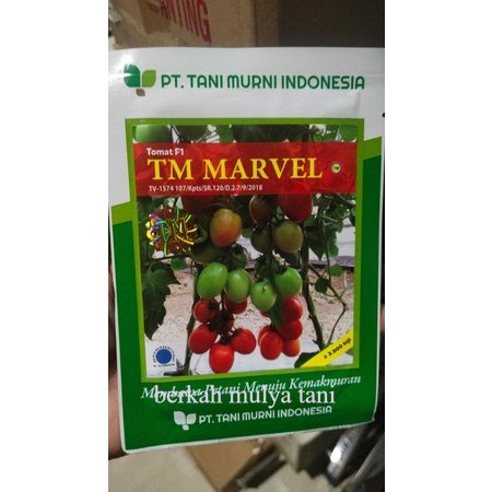 Benih tomat TM MARVEL kemasan 3000biji