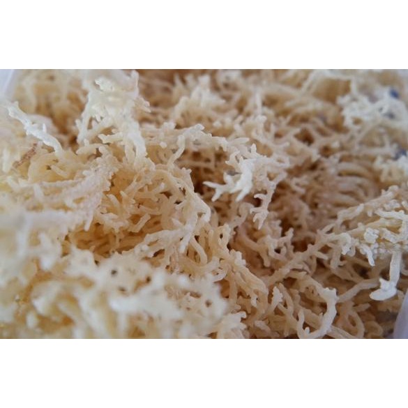 

Lagi murah--Rumput Laut 1 kg