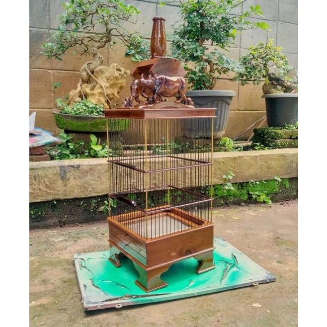 sangkar burung kecil kotak