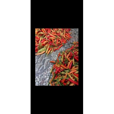 

Cabe Rawit Fresh