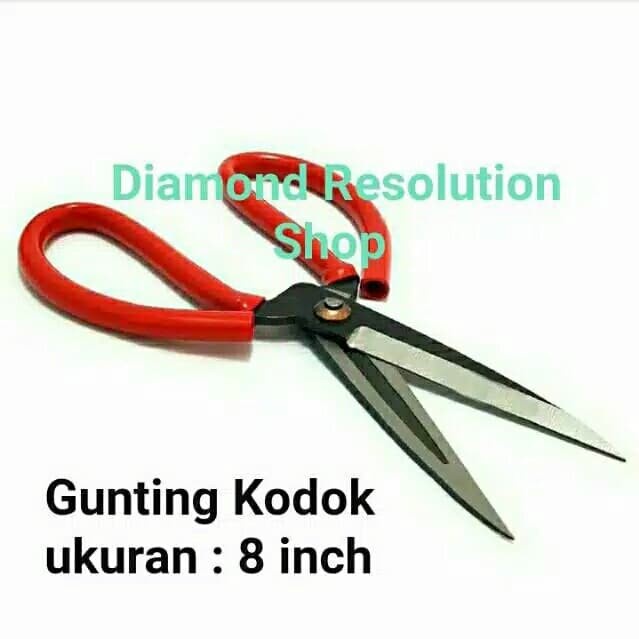 

Lucu Gunting Kodok Bahan / Kain / Seng / Kardus 8 Inch Terlaris