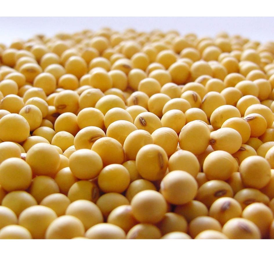 

TRX0w0Vk--Kacang Kedelai Super Murah [1000 g]
