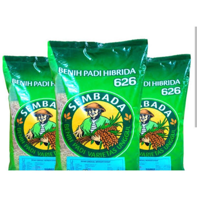 padi sembada terbaru 2022 2023