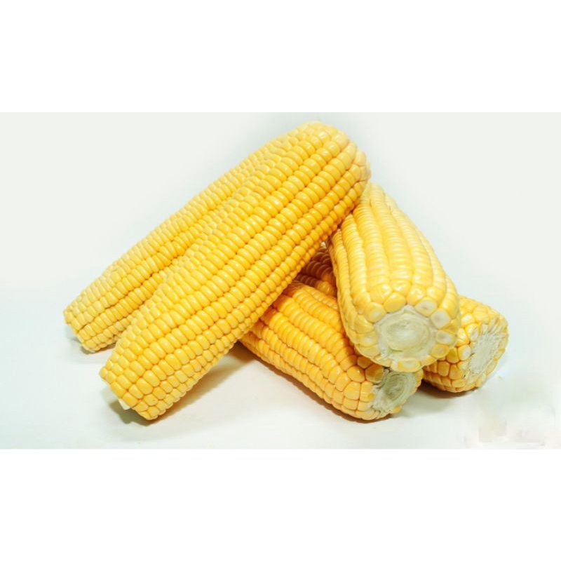 

jagung manis sayur 500gr