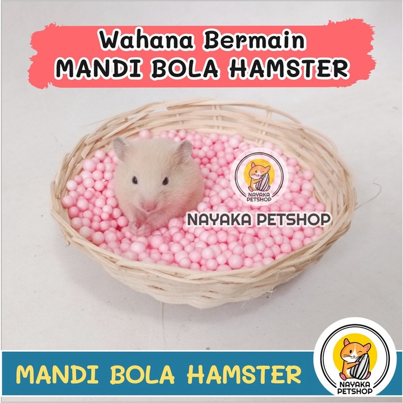 Mandi Bola Mainan Hamster Sterofoam Butiran Foam Beads Warna Warni Styrofoam Bukan Mandi Pasir Wangi