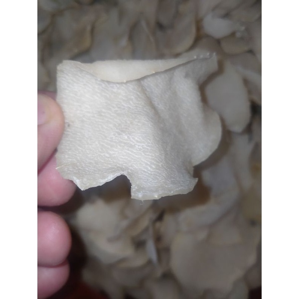 

1 Kg KERUPUK GADUNG, TIPIS RENYAH DAN GURIH DI JAMIN MANTUL
