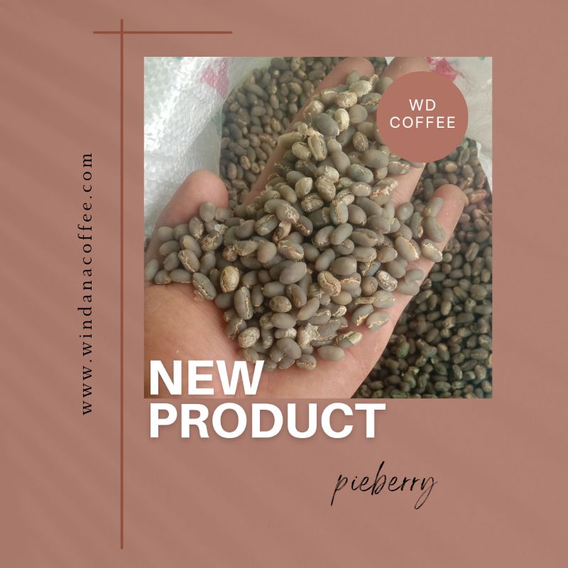 

Biji Kopi Lanang Arabica Gayo