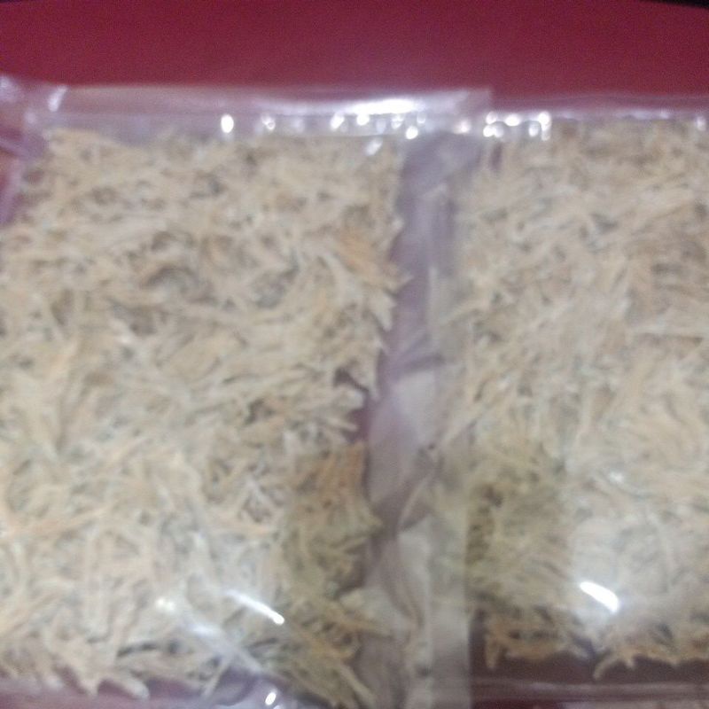 

teri medan
