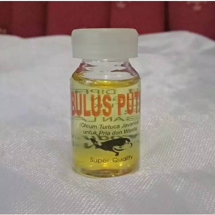 Minyak Bulus Putih Original