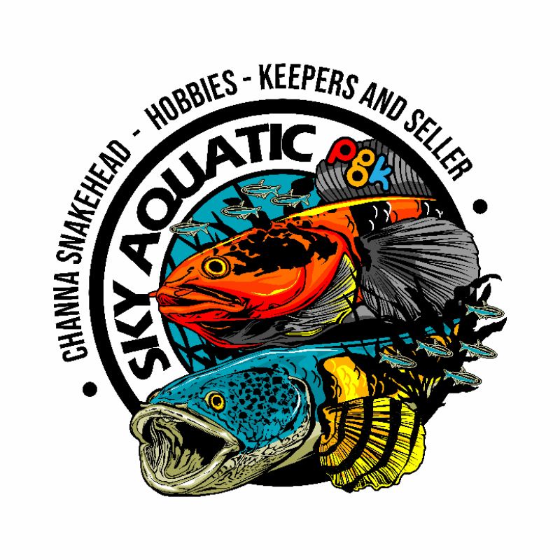 Stiker Aquarium | Stiker channa logo SKY Aquatic Pgk