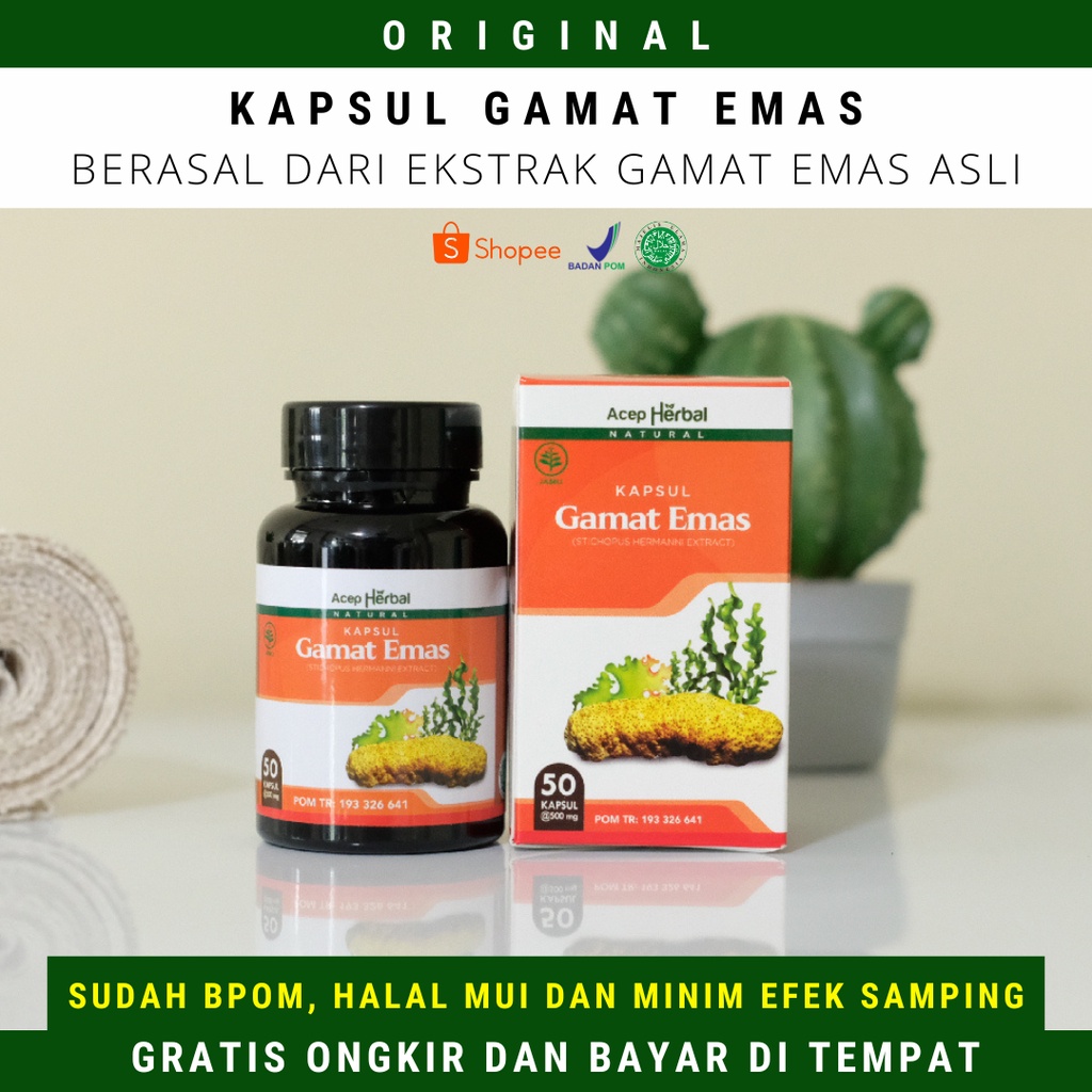 Obat Hernia, Hernia Inguinalis, Hernia Femoralis, Turun Berok, Usus Turun, Varikokel, Hidrokel - Kap