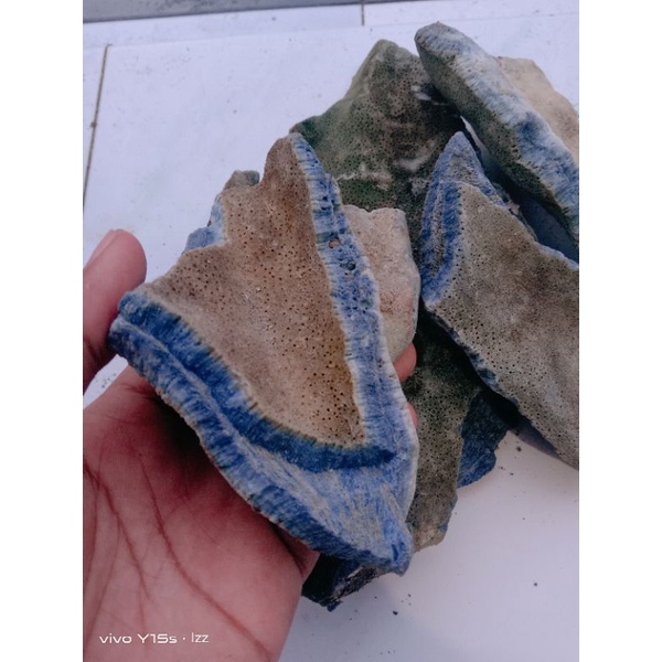 Bongkahan batu marjan biru super top