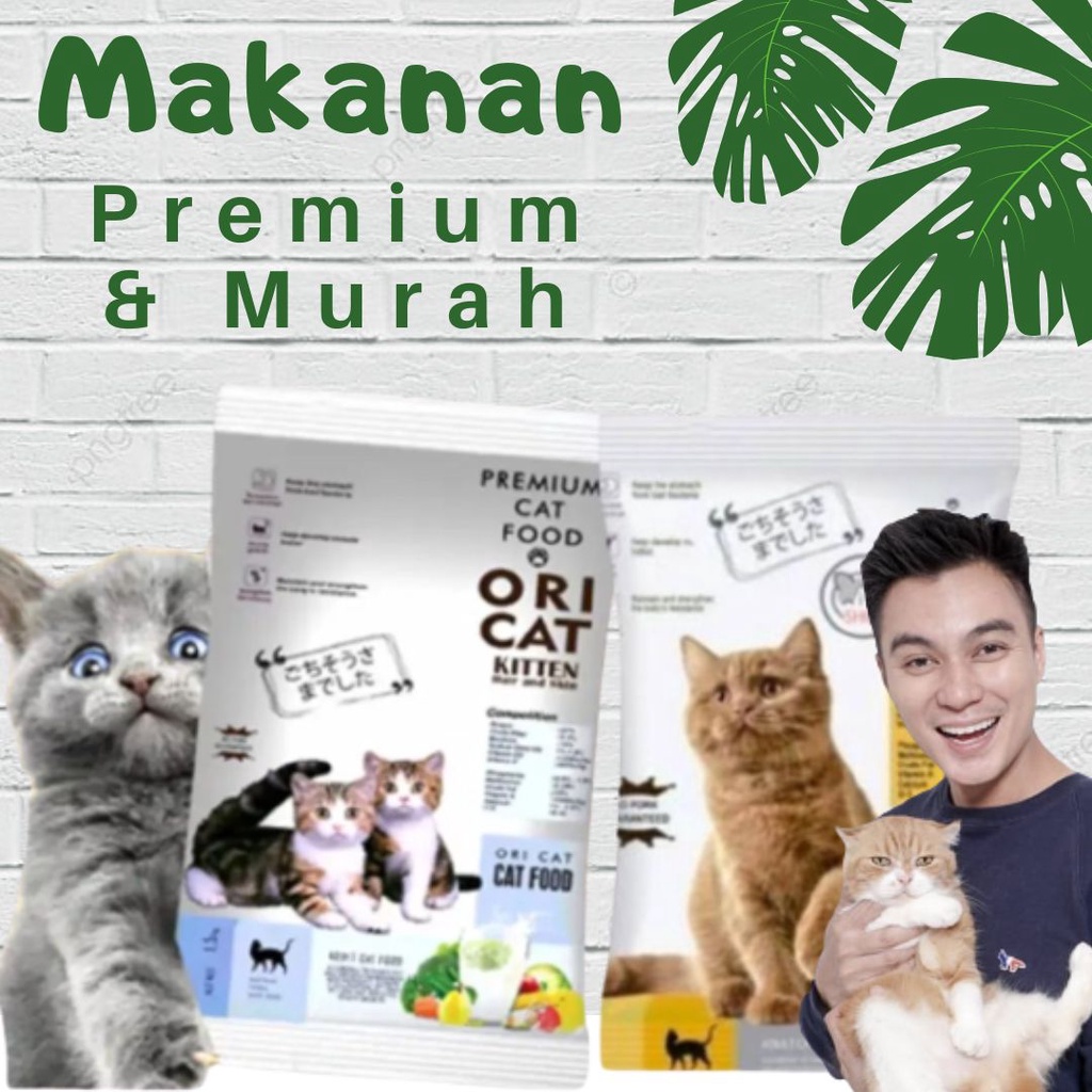 Ori Cat Premium Dry Food 100gram - Makanan Kucing Bentuk Ikan &amp; Kotak Pakan Kucing FEZONE