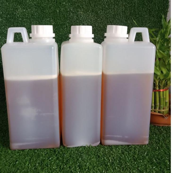

CS2t7Sh--Madu Randu Murni 1Kg
