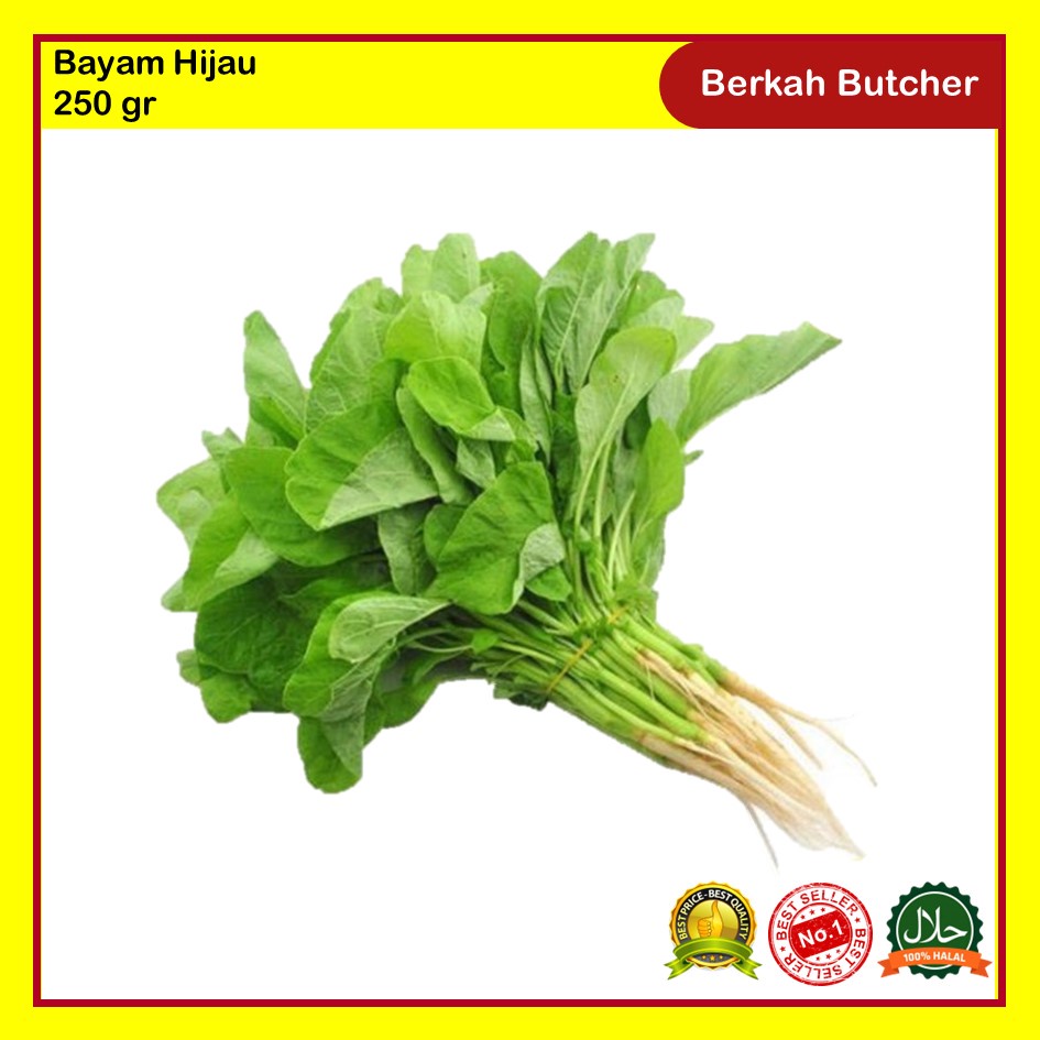 

Bayam Hijau Segar 250 gr Berkah Butcher