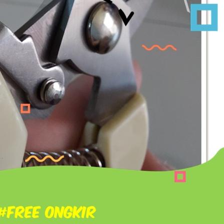 Gunting Dahan Ranting Prohex Hasston Haston Gunting Pruning Daun Bonsai Tanaman Pohon Besar Murah