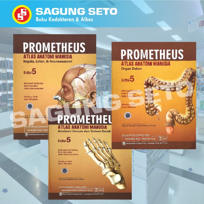 Buku Kedokteran Prometheus Atlas Anatomi Manusia Edisi 5 New / Promet / Prome