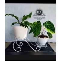 Rak bunga besi 2 susun