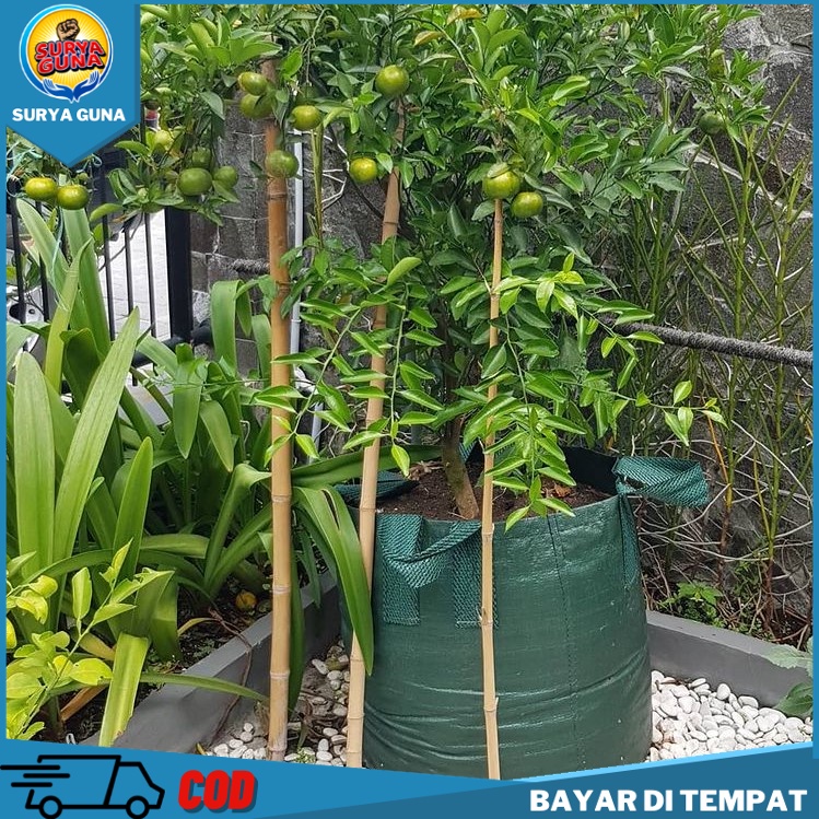 Planter Bag Durian 100 Liter HITAM