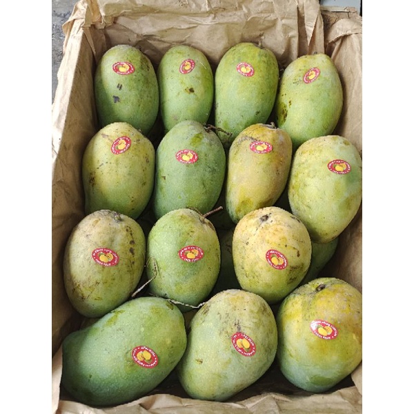 

mangga harumanis siap santap, super dan joss 1 kg isi 2-3.