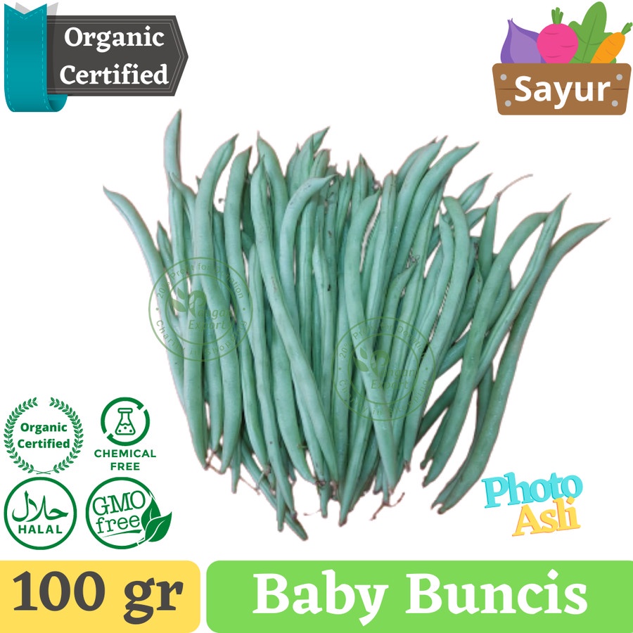 

Baby Buncis / Baby Bean/ Buah Bumbu Sayur Masak by Pangan Export