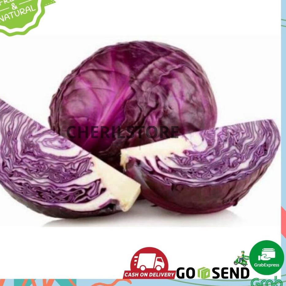10.10 SALE KOL MERAH / KOL UNGU 500-800GRAM GUBIS MERAH / GUBIS UNGU / RED CABBAGE SAYUR MAYUR SAYUR