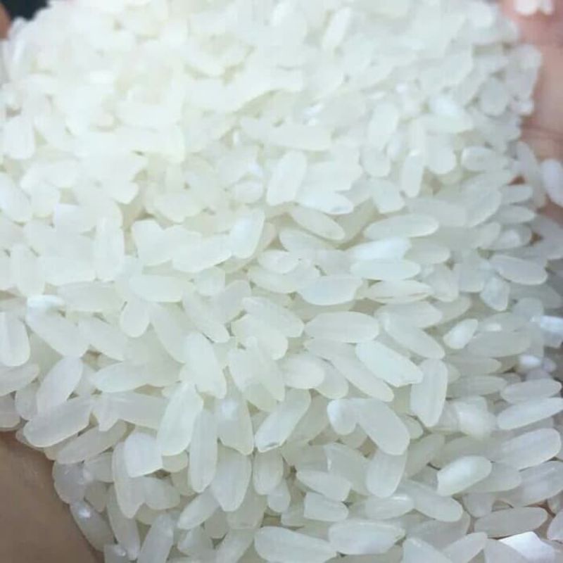 

Terlaris! RJ-BERAS PANDAN I SUPER CAP 5KG,10KG & 20kg