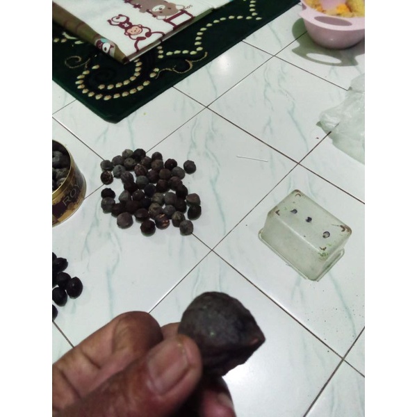 MUNCANG KEMIRI TRADISI SUNDA ADU KEMIRI