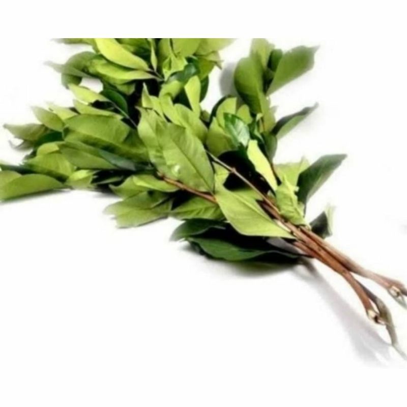 

Daun salam 1 ikat