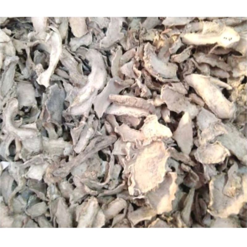 

temu/ kunyit mangga jumbo & kering 1kg