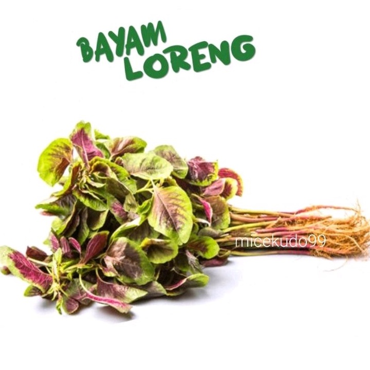 

BAYAM LORENG ORGANIK SEGAR SAYUR BAYAM BATIK FRESH SPINACH