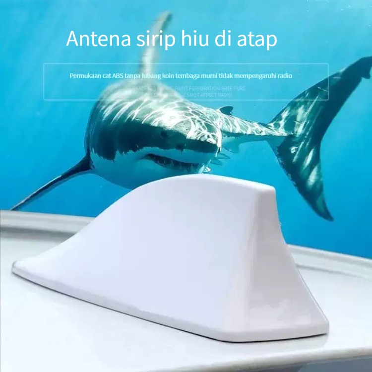 (ada stok,dikirim dari jakarta ) Antena sirip hiu mobil, shark fin antena mobil sinyal （Putih）（hitam）