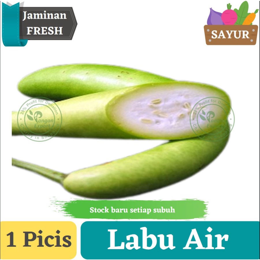 

Labu Air , Labu Putih Panjang , Sayur Buah Segar