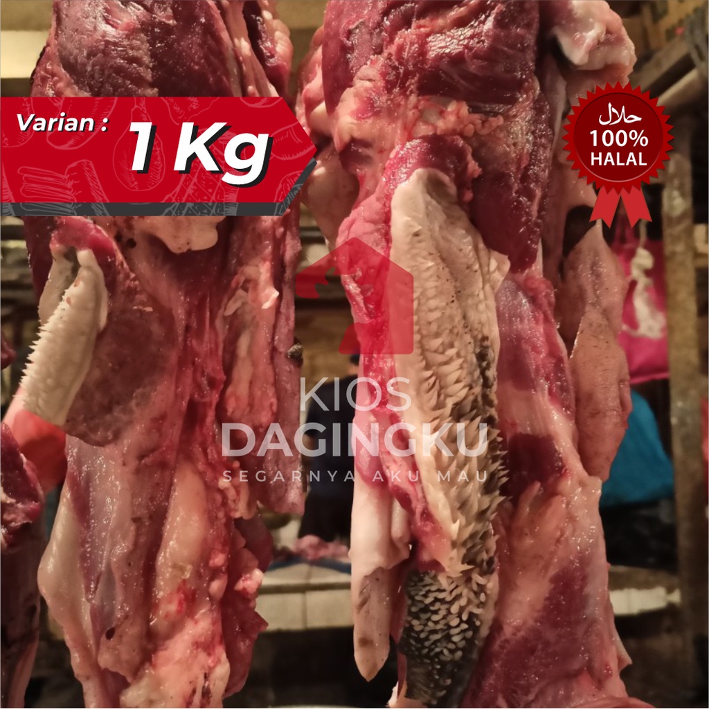

Daging Kepala Sapi @1kg