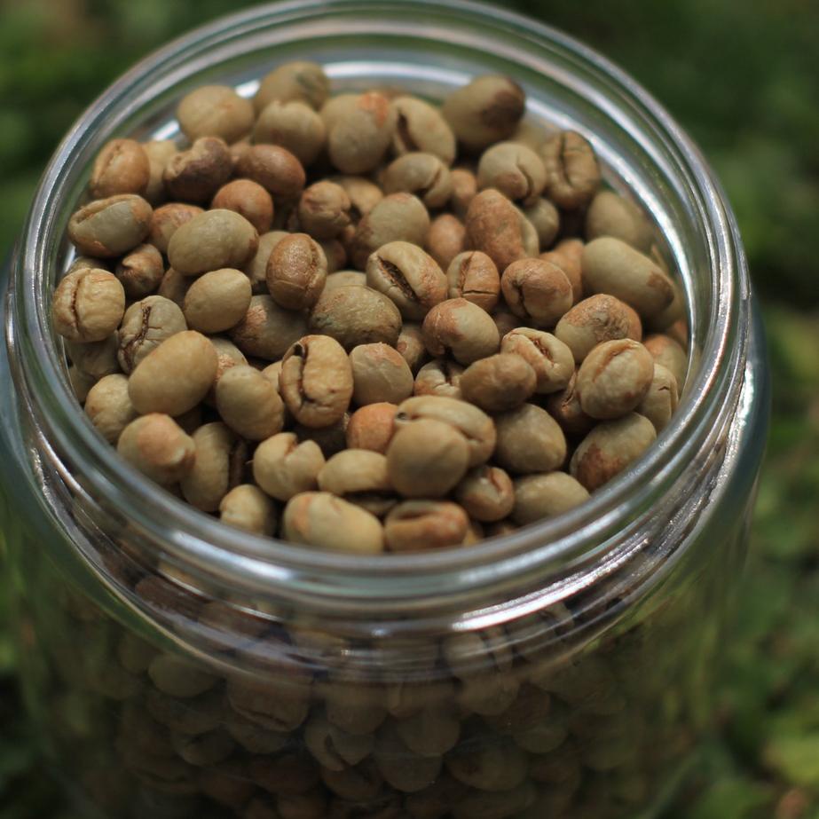 

10.10 Brands Festival Green Bean Robusta Lampung Peaberry Lanang Biji Tunggal - Natural !!