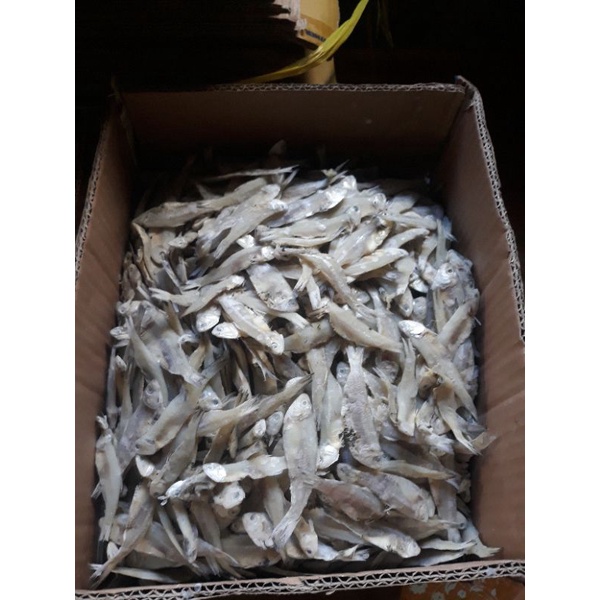 

Ikan bilis kering (asin) 1 kg