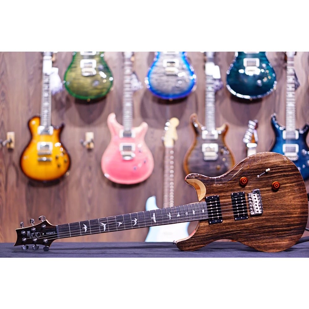 PRS SE Exotic Custom24